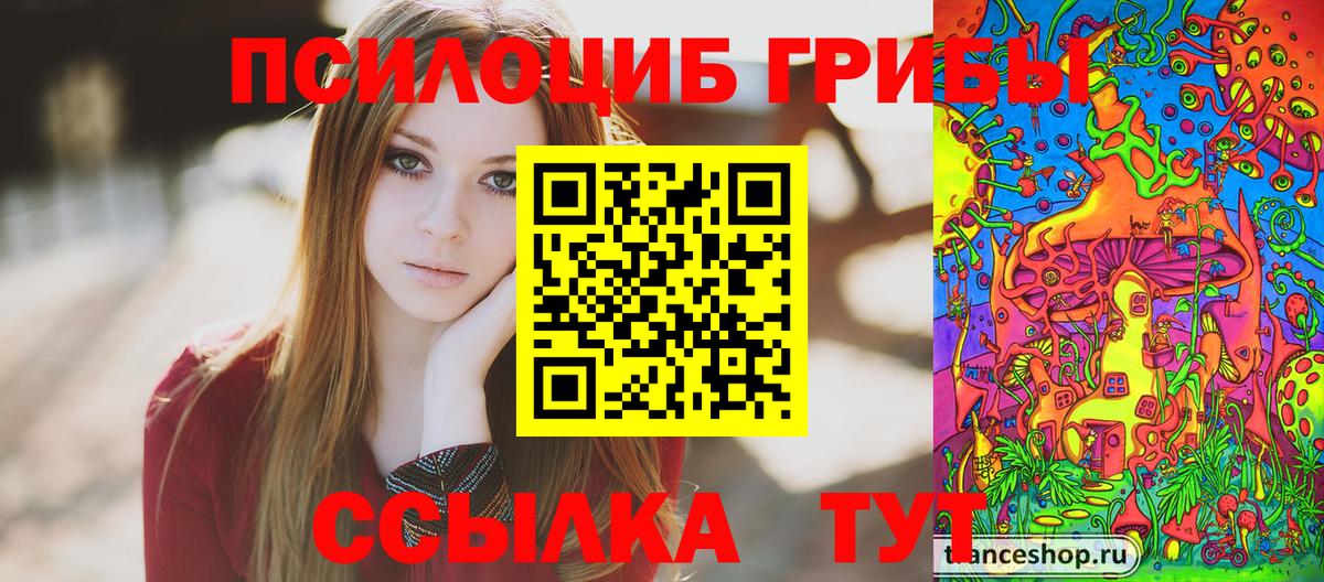 Галлюциногенные грибы Psilocybe  Вход с VPN  Великий Новгород 