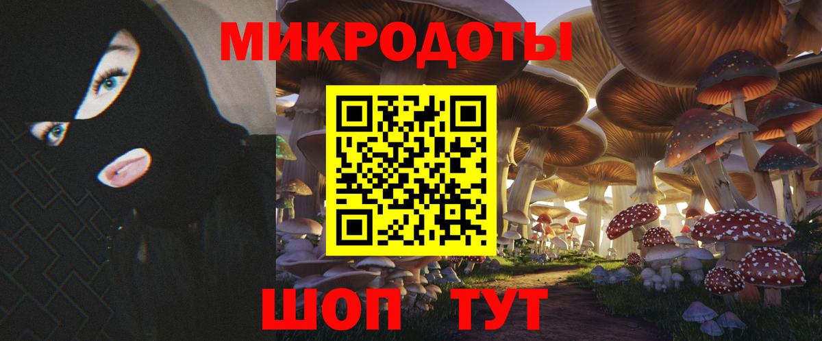 Псилоцибиновые грибы прущие грибы Великий Новгород